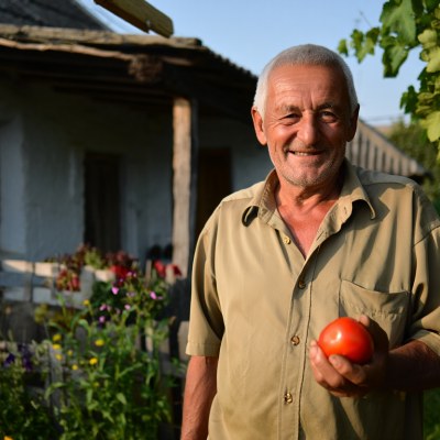 În grădină